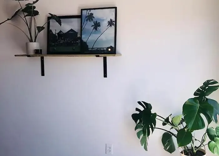 Bright And Airy Oceanside *