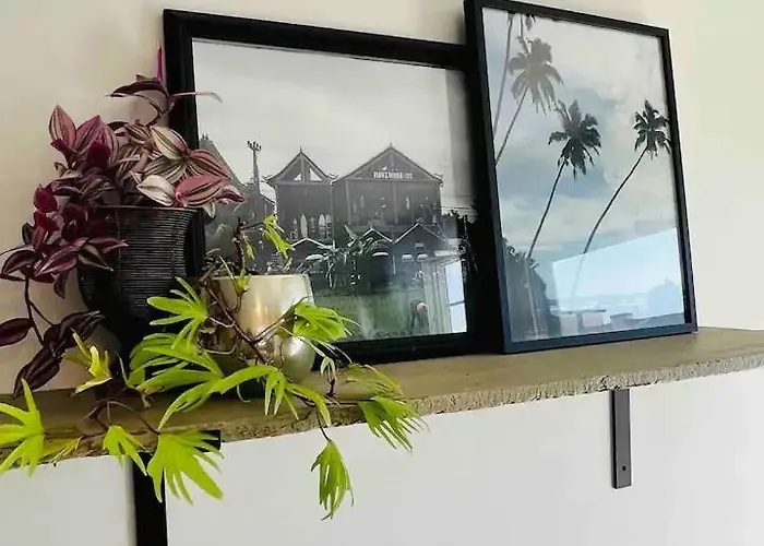 Bright And Airy Oceanside *